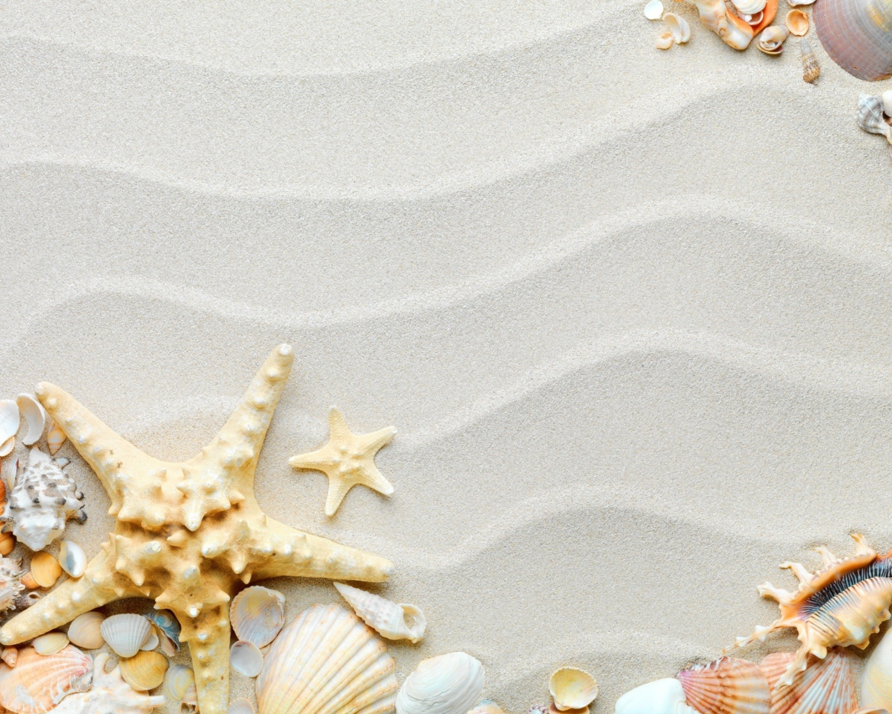 Красивые разные ракушки с морской звездой на волнистом белом песке 