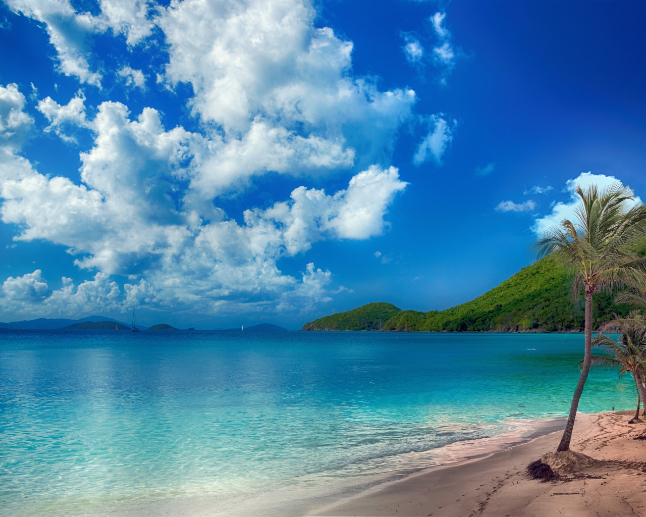 Красивый берег океана с чистой водой под голубым небом