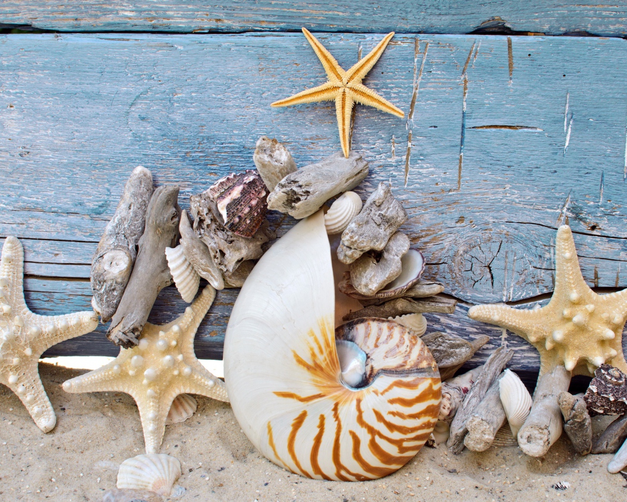 Разные красивые ракушки с морскими звездами на деревянном фоне 