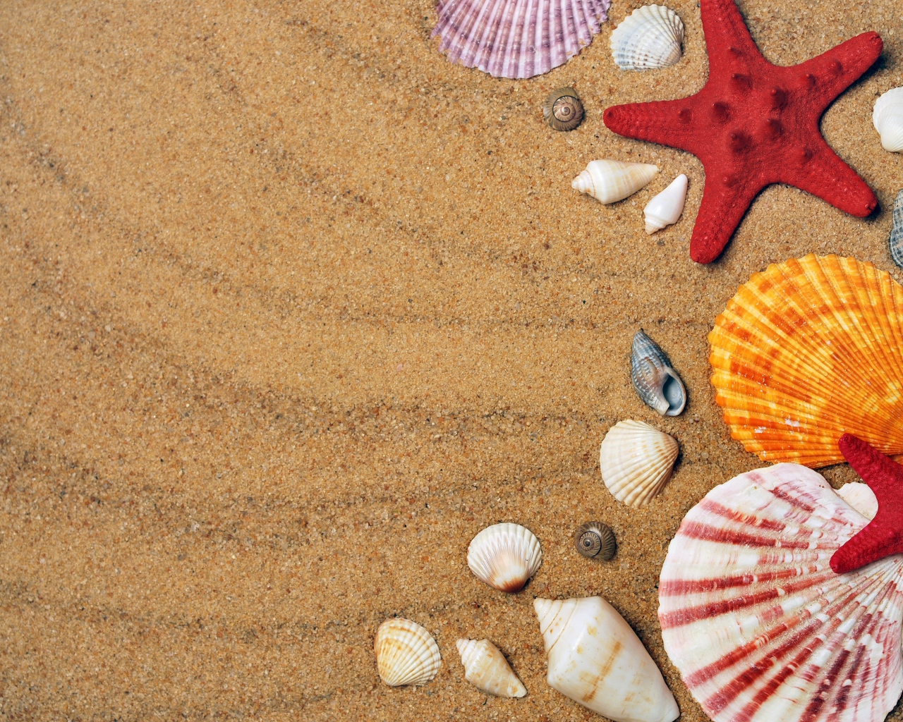 Разноцветные ракушки и морские звезды на песке 