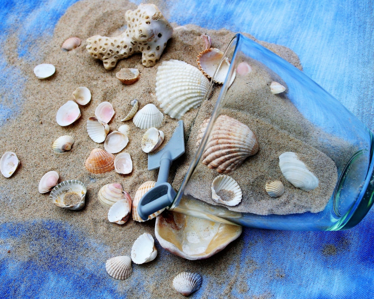 Морские ракушки и чашка с песком на пляже 