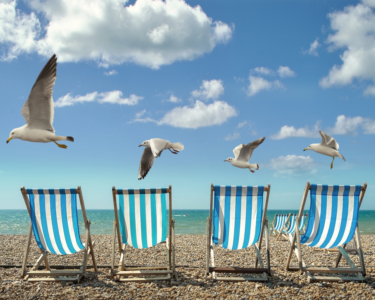 Шезлонги стоят на желтом песке у моря