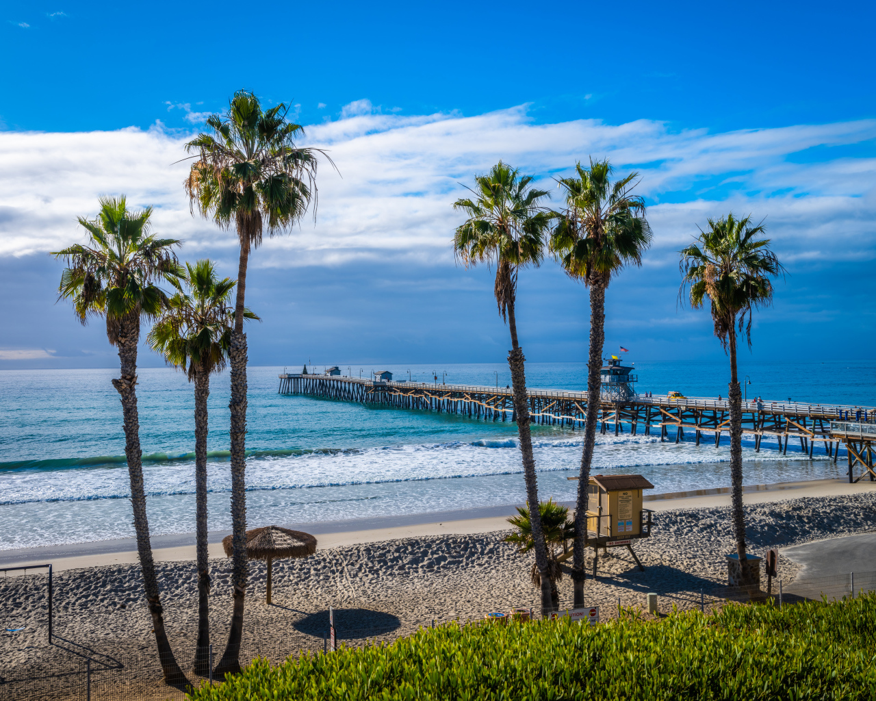 Высокие пальмы на берегу океана у моста 