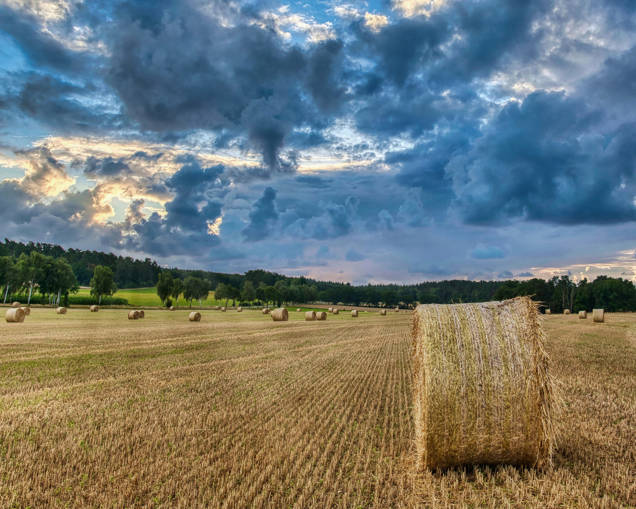 Сноп сена на поле под красивым грозовым небом 
