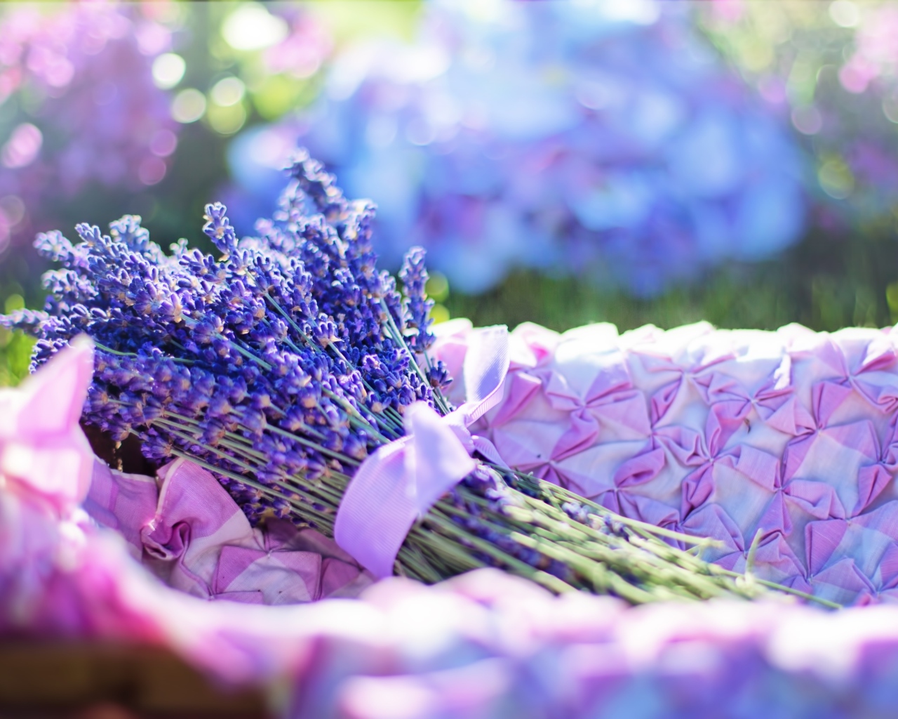 Букет ароматной лаванды в лучах солнца