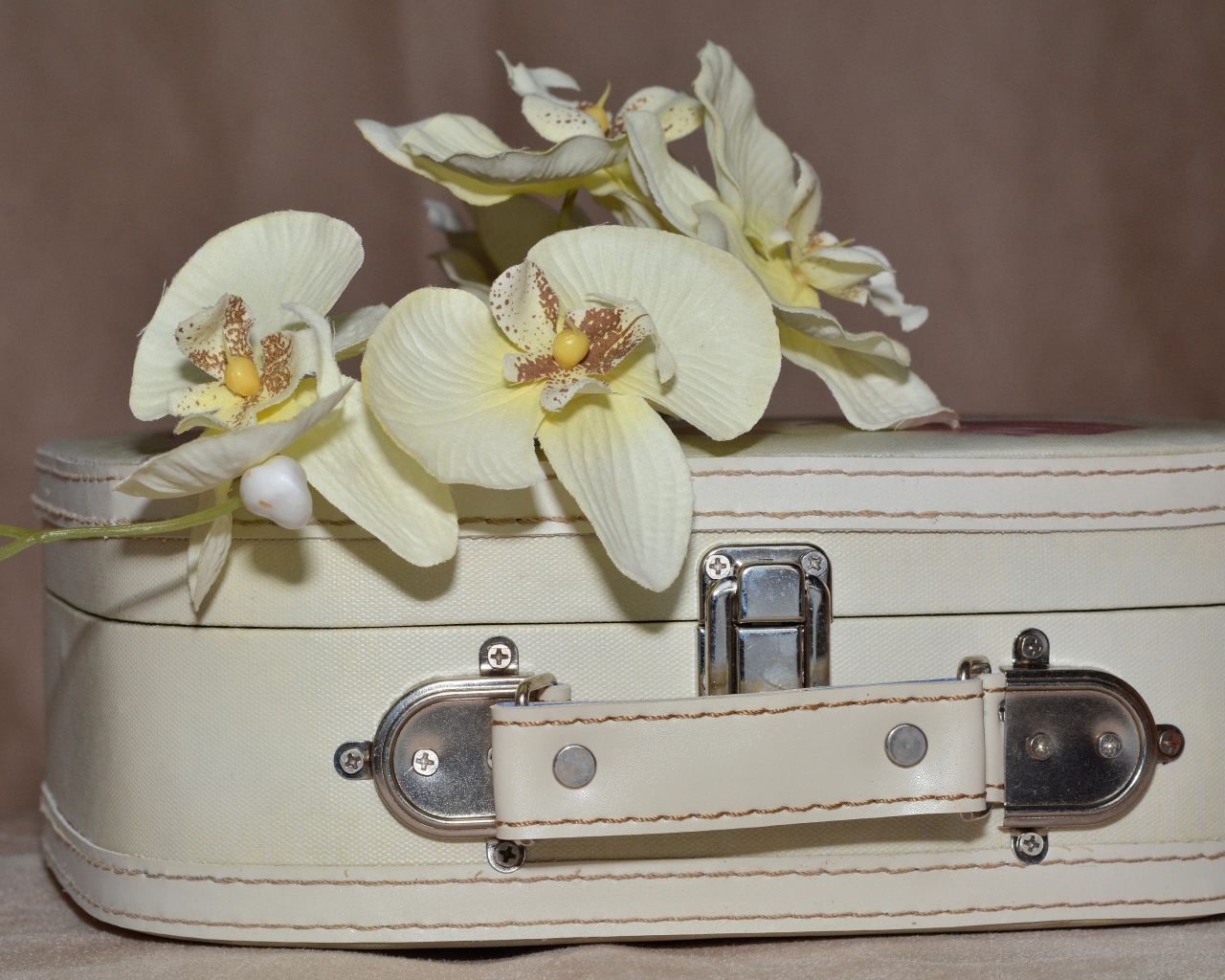 Ветка цветов орхидеи лежит на белом чемодане