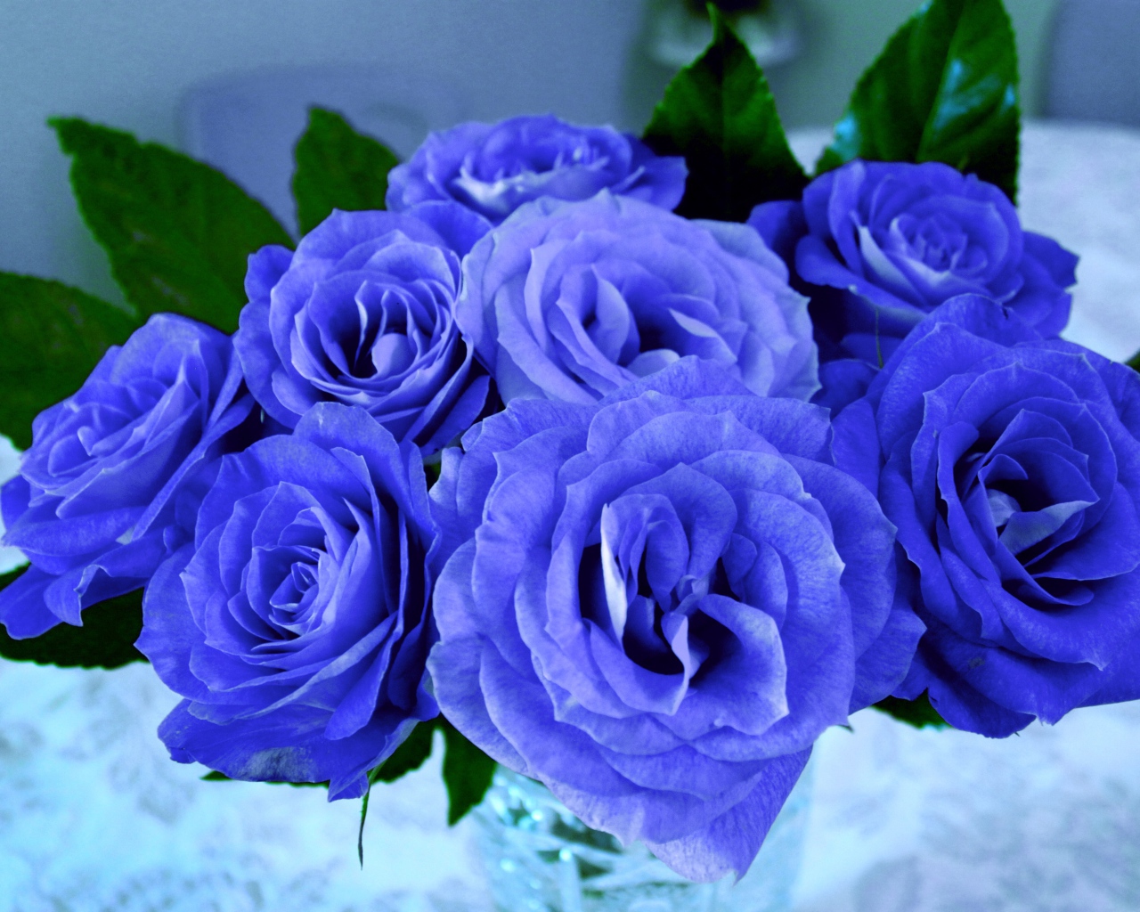 Красивый букет синих роз крупным планом