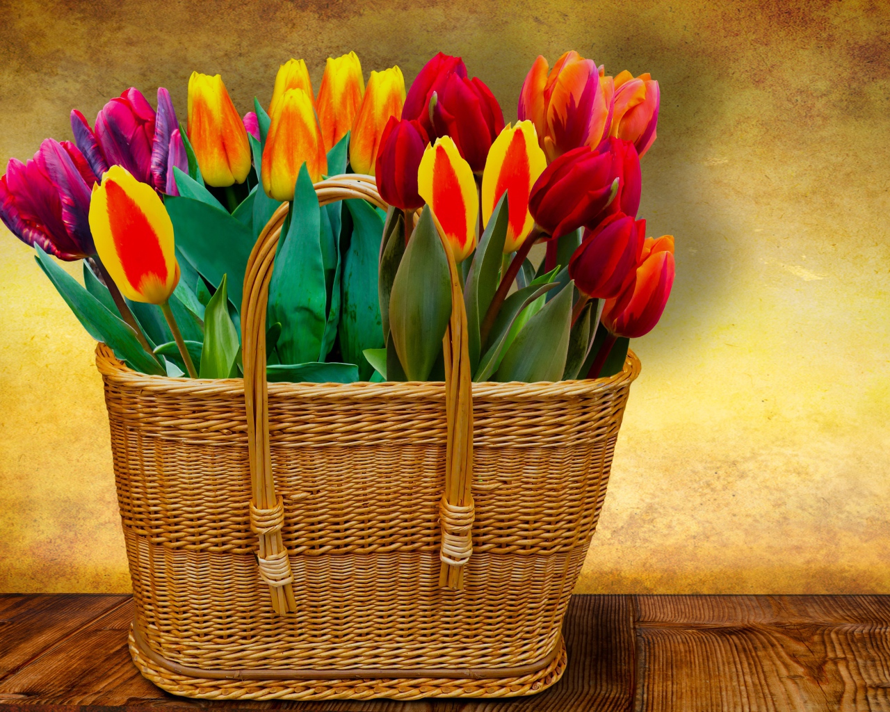 Красивый букет тюльпанов в корзине на фоне стены