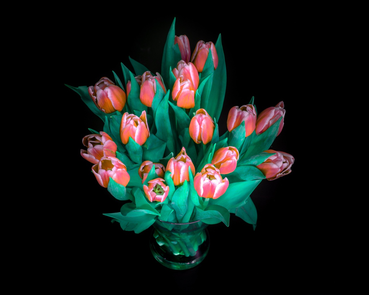 Красивый букет тюльпанов в вазе на черном фоне