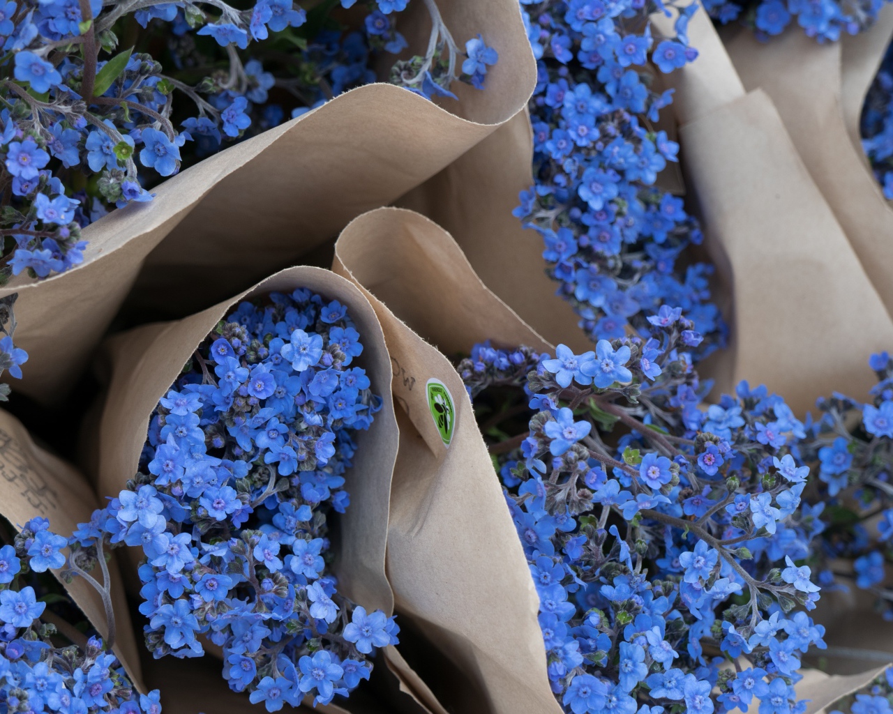 Голубые цветы незабудки в бумажных пакетах