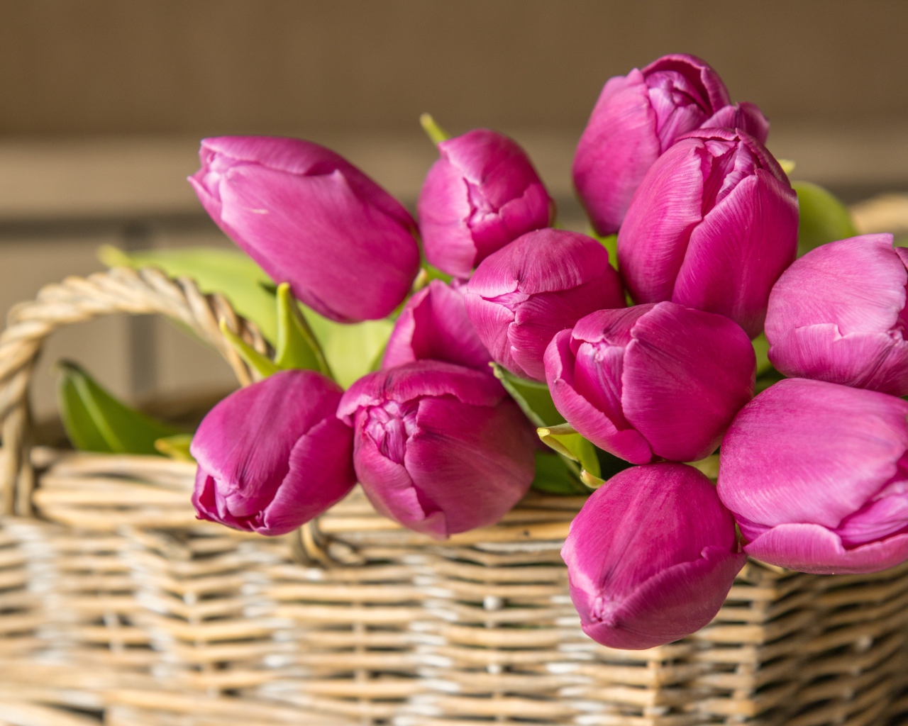Букет красивых розовых тюльпанов в корзине на столе