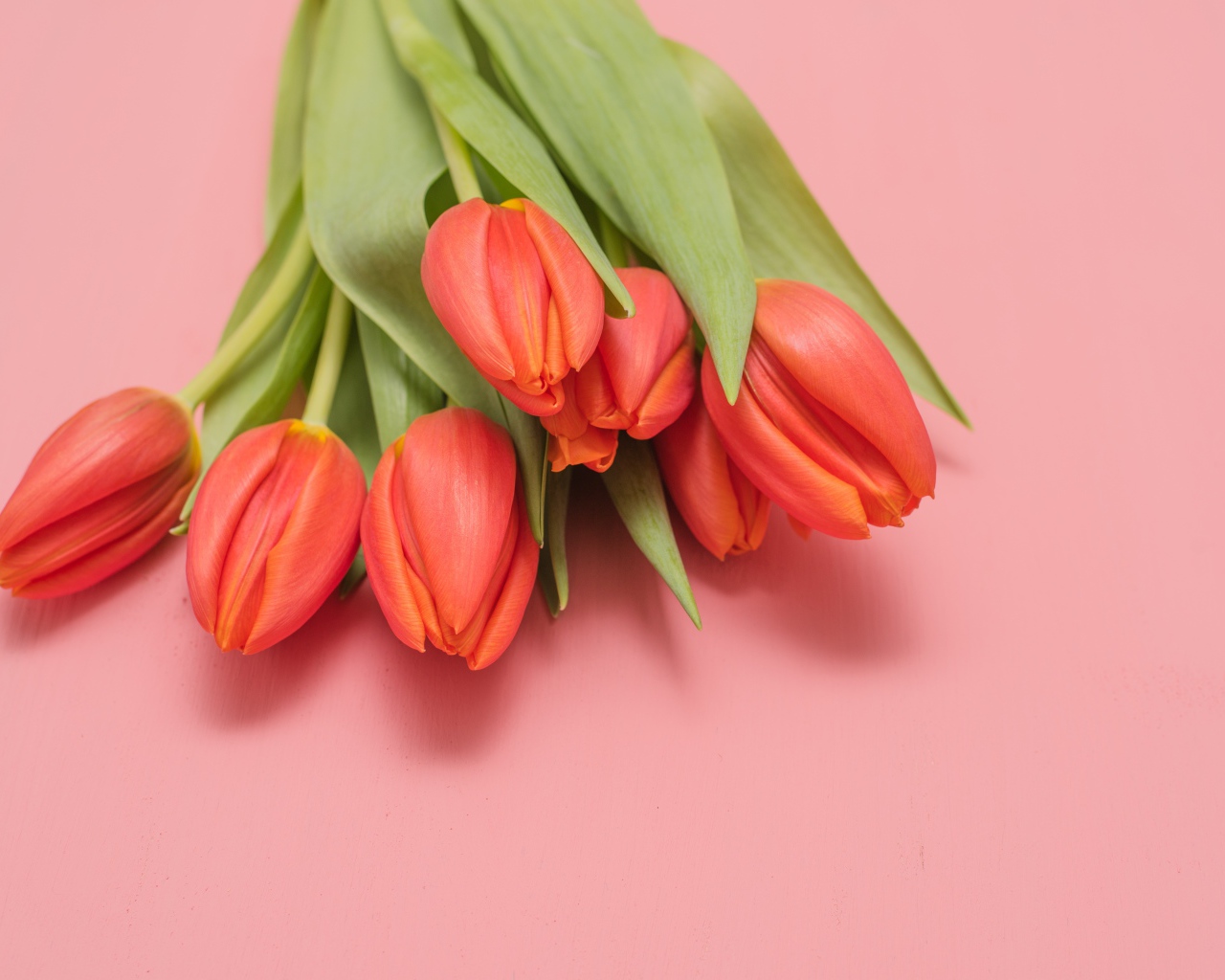 Букет оранжевых тюльпанов на розовом фоне