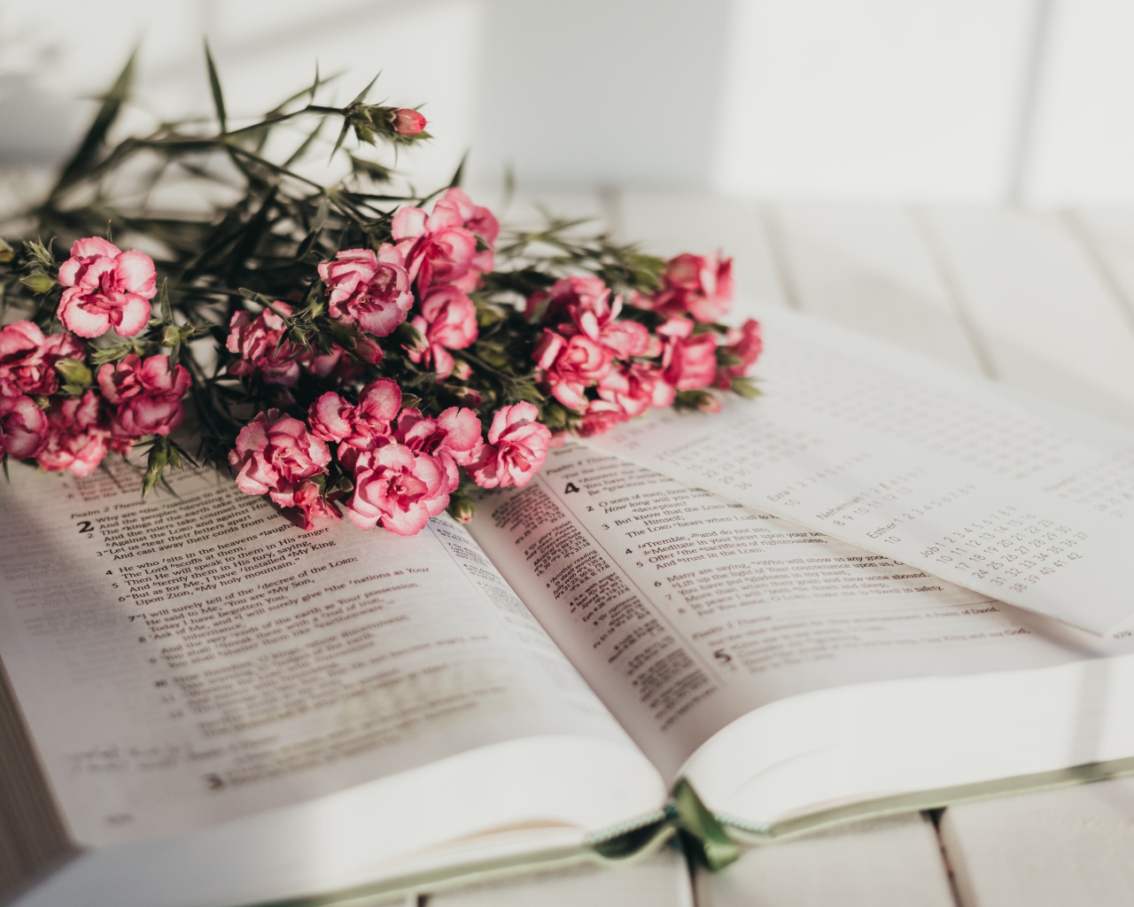Букет розовых цветов гвоздики лежат на книге