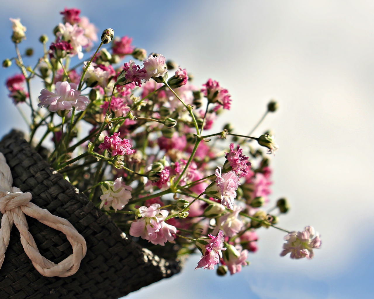 Букет розовых цветов в корзине на фоне голубого неба