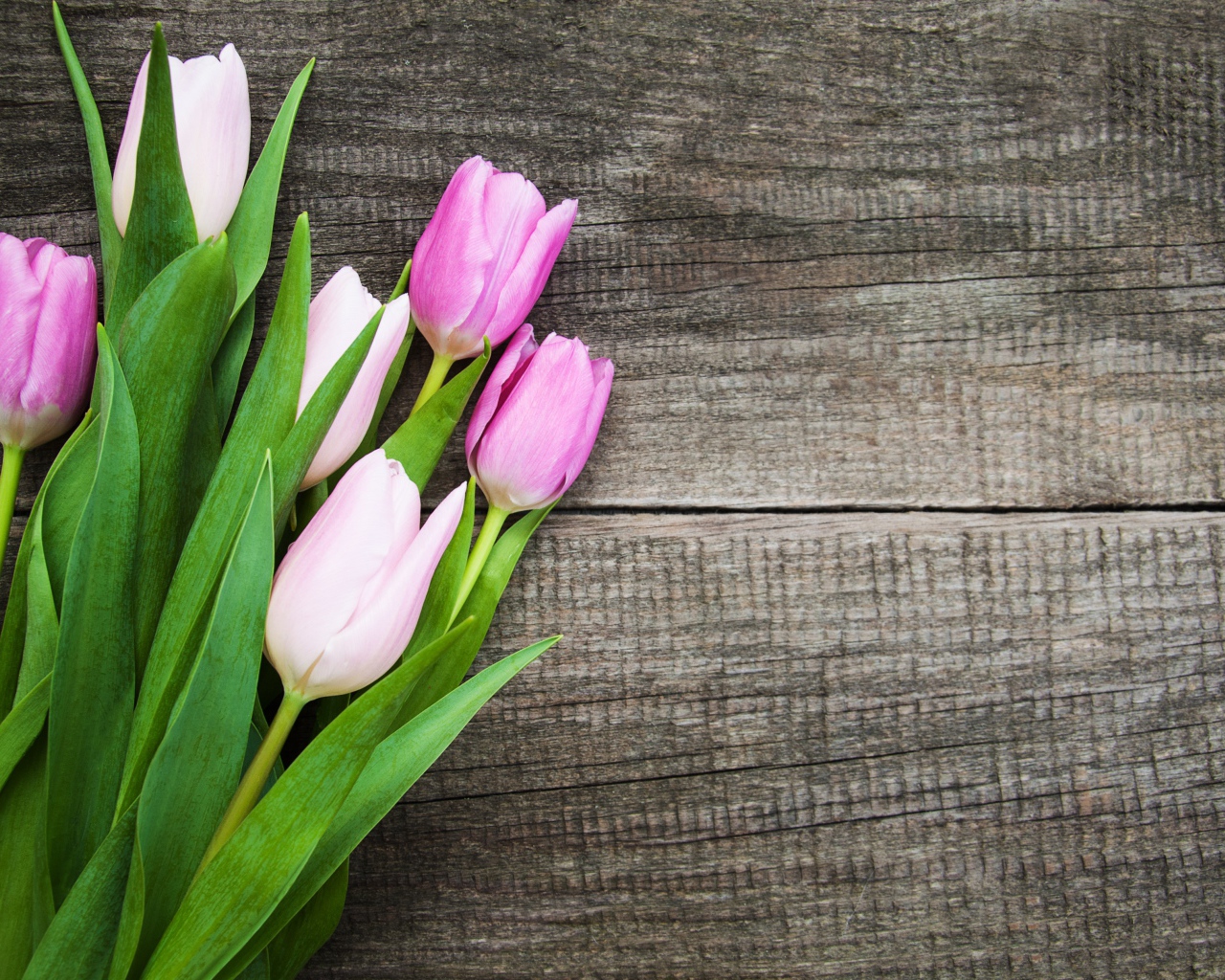 Букет розовых тюльпанов на старом деревянном фоне 