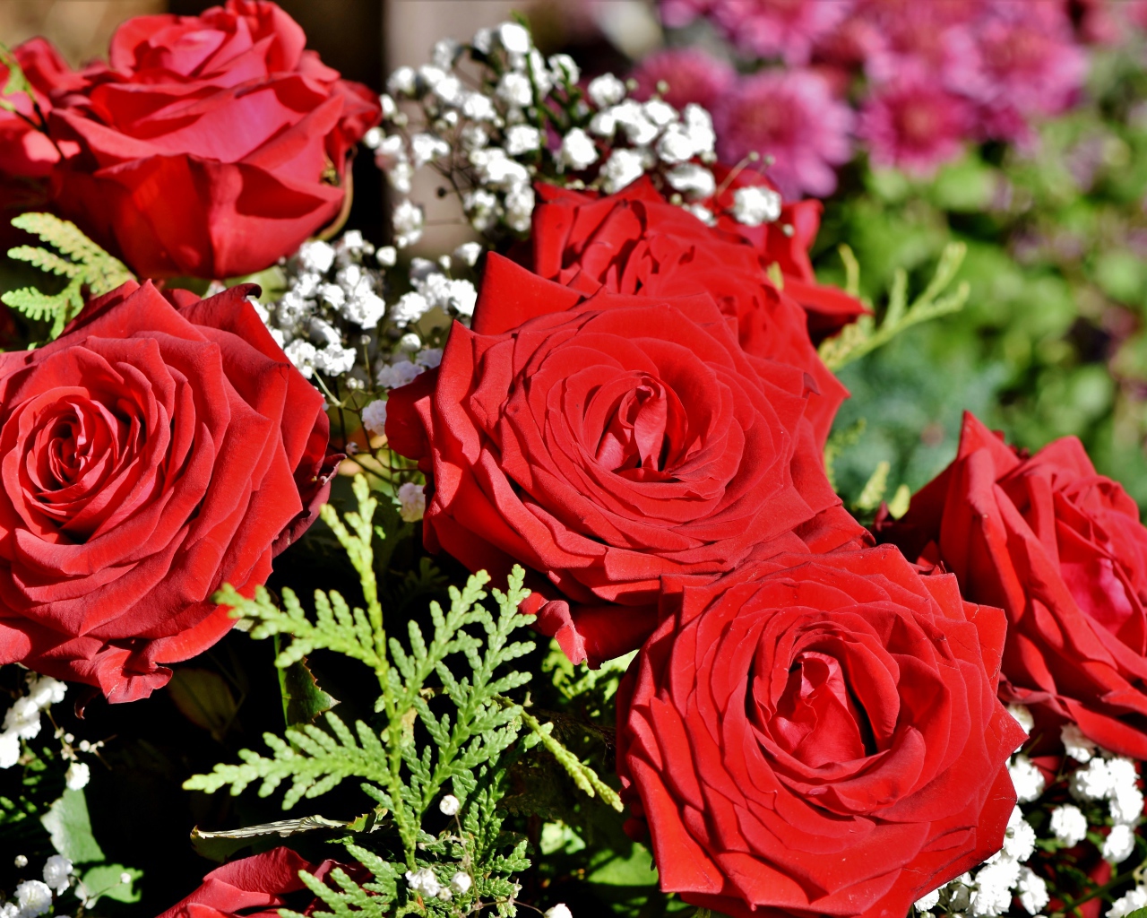 Букет алых роз с цветами гипсофилы 