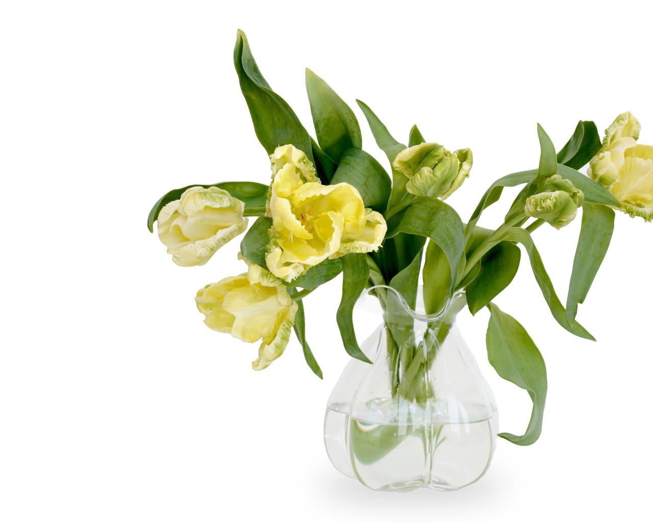 Букет необычных желтых тюльпанов в стеклянной вазе