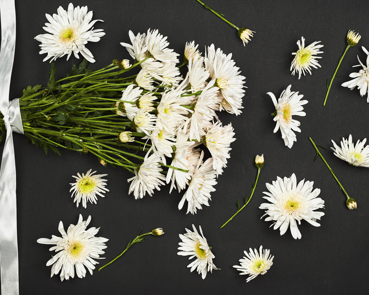 Букет белых хризантем на черном фоне