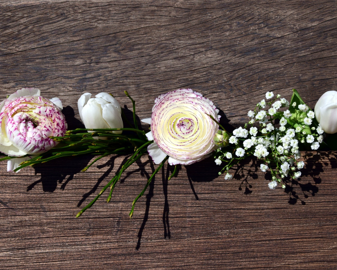 Цветы лютика, тюльпана и гипсофилы в ящике