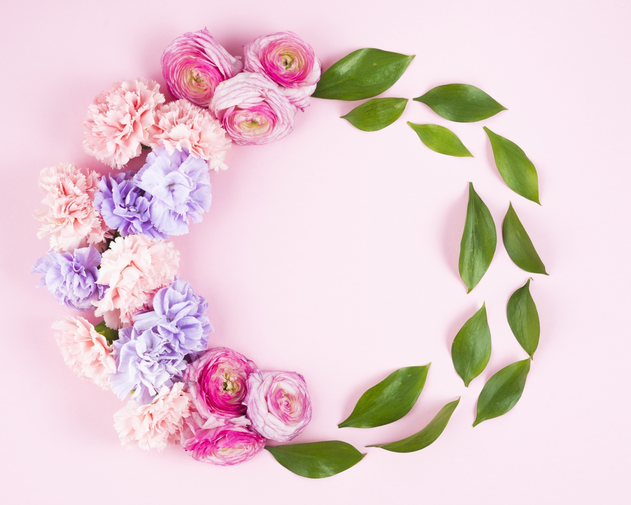 Гвоздики с лютиками и зелеными листьями на розовом фоне