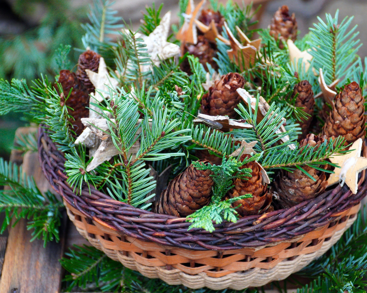 Шишки с ветками ели в корзине 