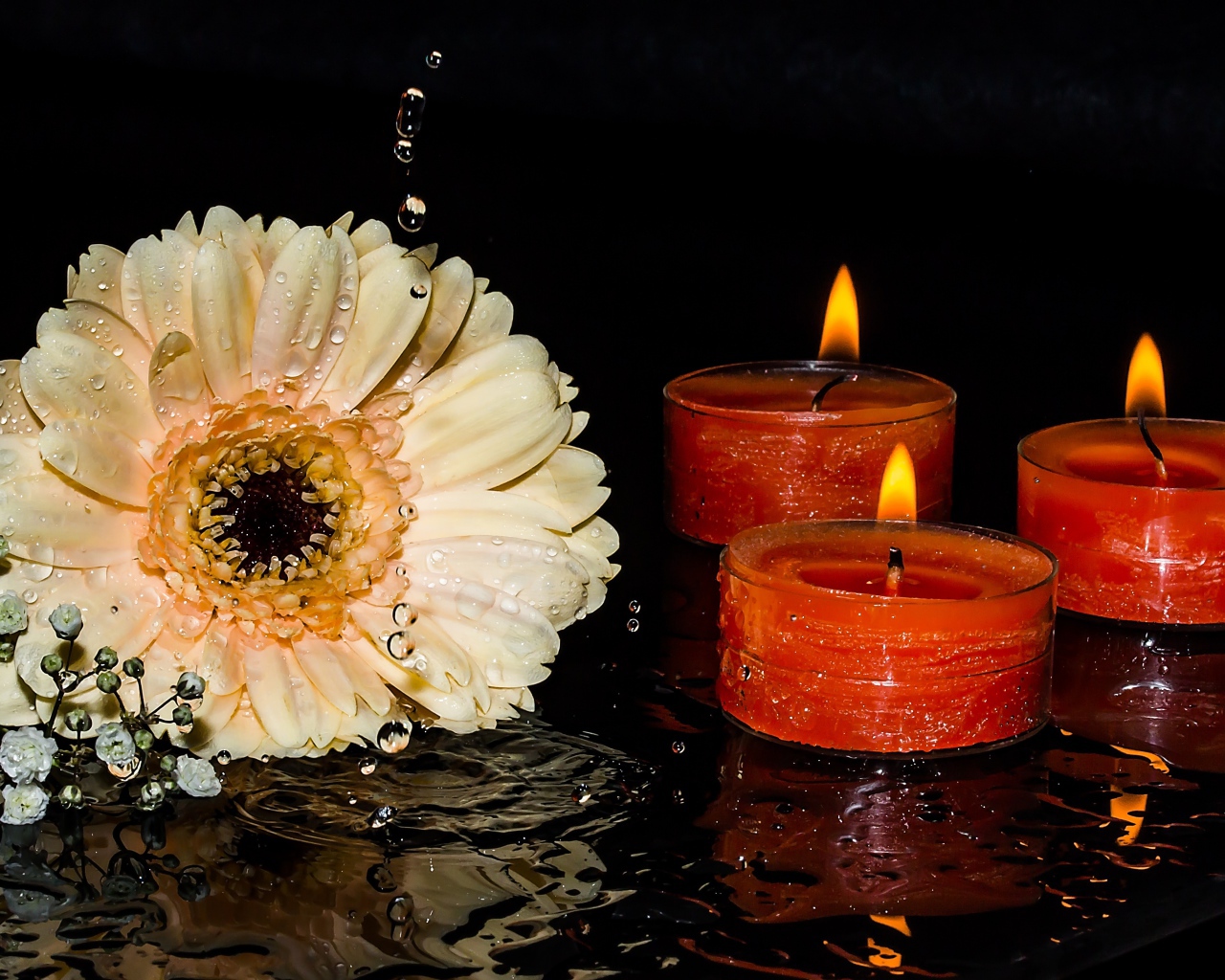 Кремовая гербера со свечами на мокром столе