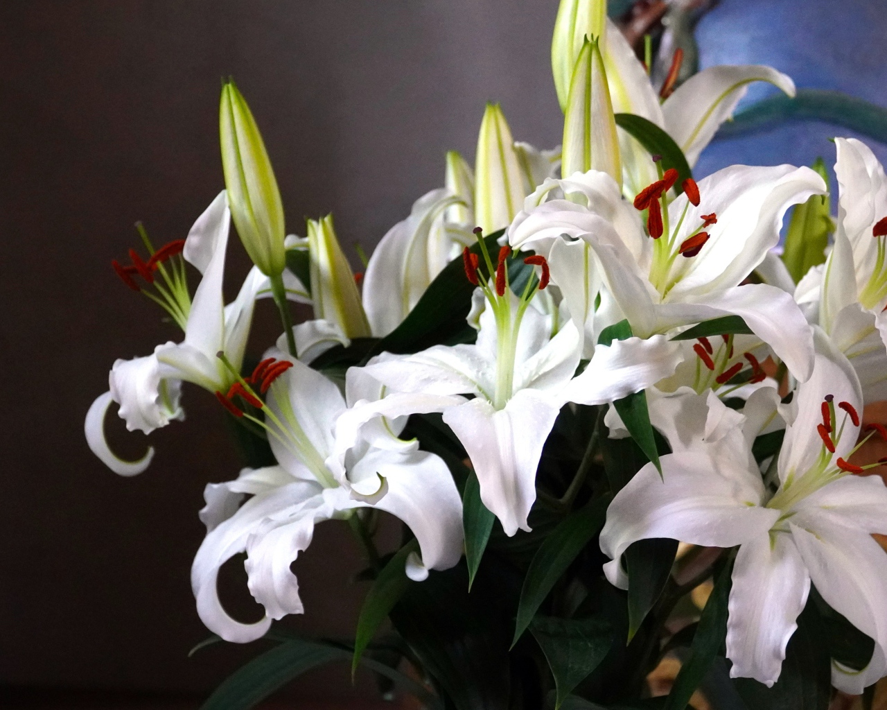 Нежный букет белых лилий с бутонами