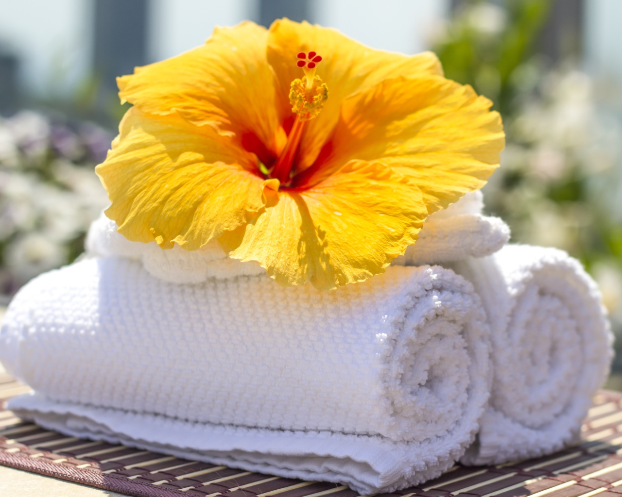 Большой цветок гибискуса с белыми полотенцами