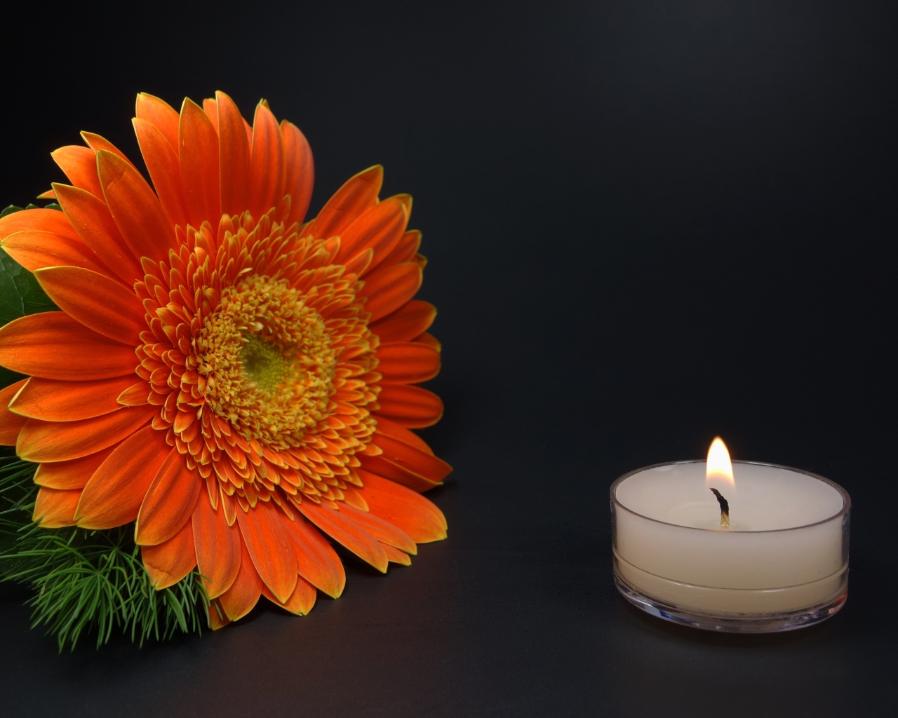 Большой оранжевый цветок герберы с зажженной свечой