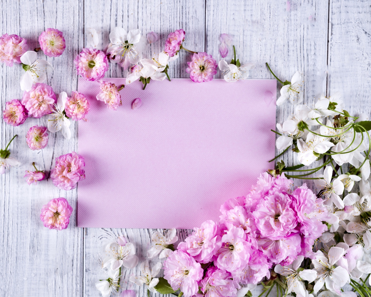 Розовые цветы луизеания и цветы вишни на столе с листом