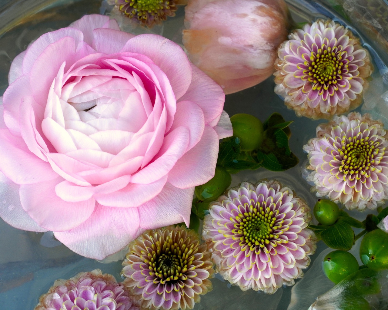 Розовая роза с хризантемами в воде