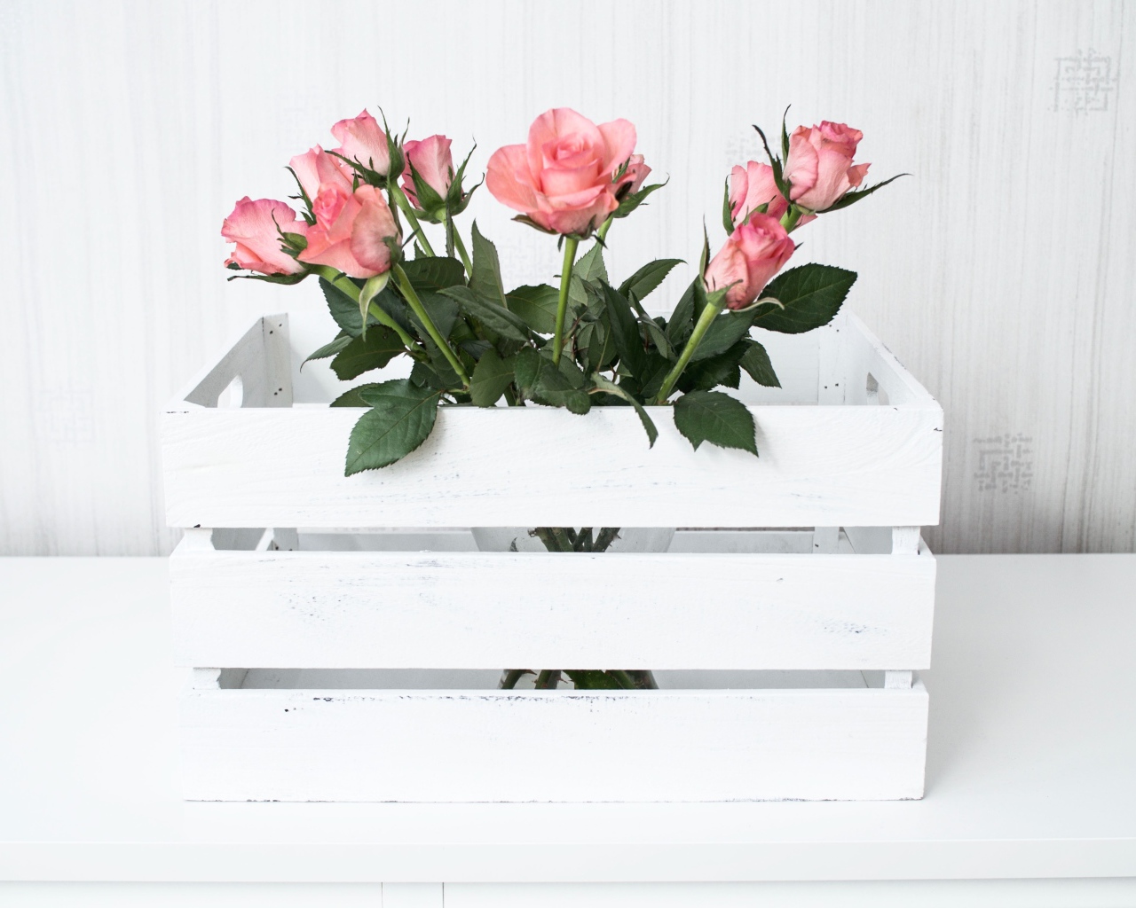 Розовые розы в белом деревянном ящике