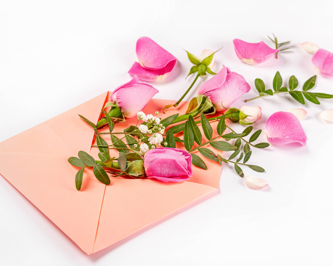 Розовые розы с зелеными листьями в конверте на белом фоне