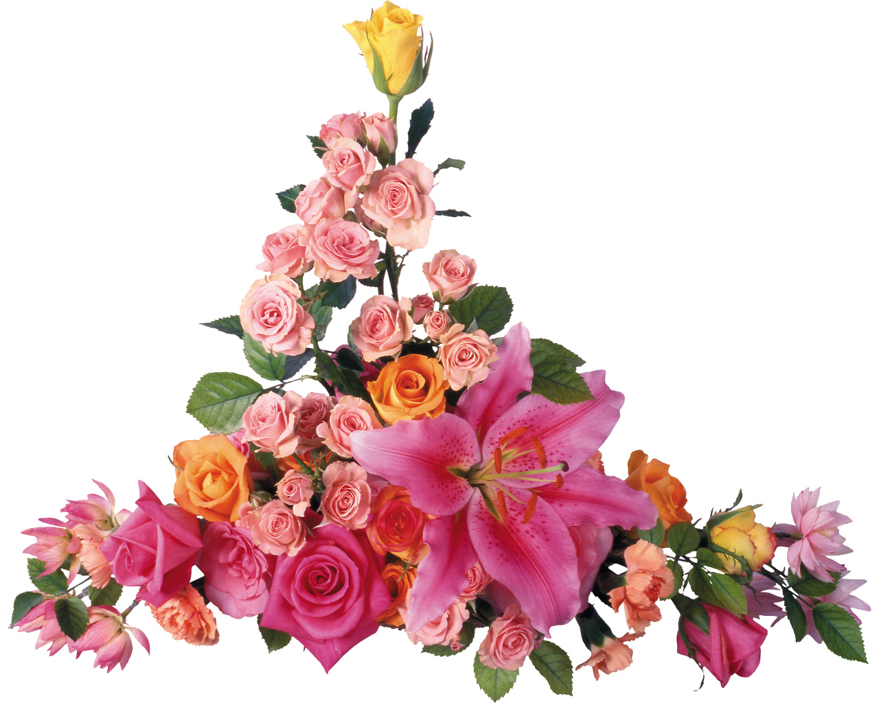 Розовые розы с лилиями на белом фоне 