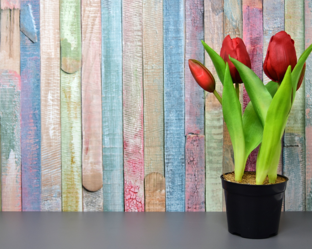 Красные цветы тюльпана в горшке на столе