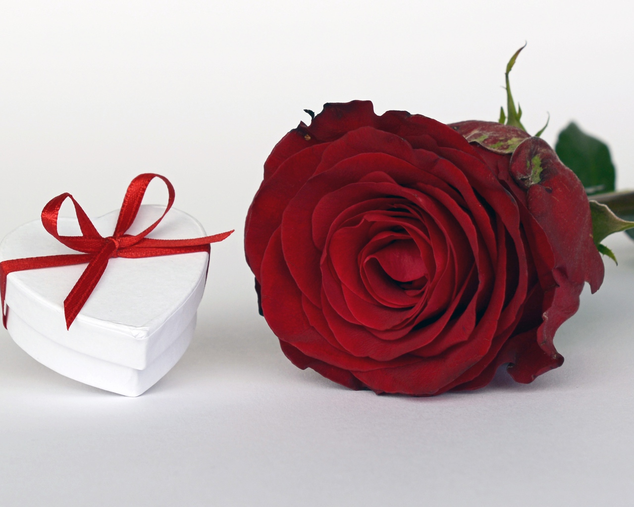 Алая роза с подарком на белом столе
