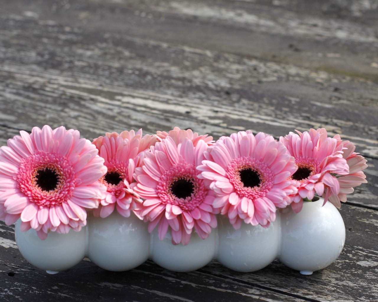 Маленькие розовые цветы герберы в белых вазах