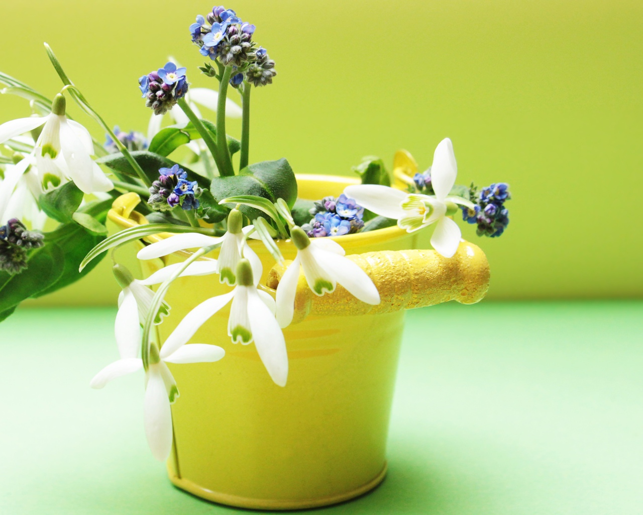 Маленькое желтое ведерко с весенними цветами