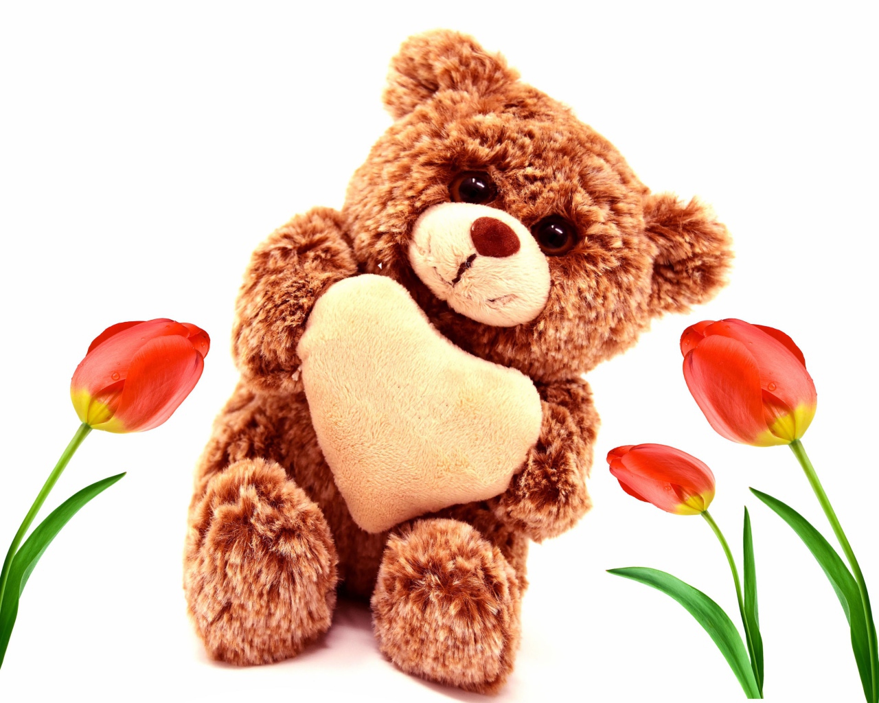 Игрушка медвежонок с красными тюльпанами на белом фоне