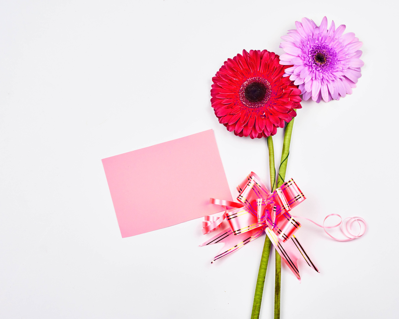 Два цветка герберы на столе с бантом и листом бумаги