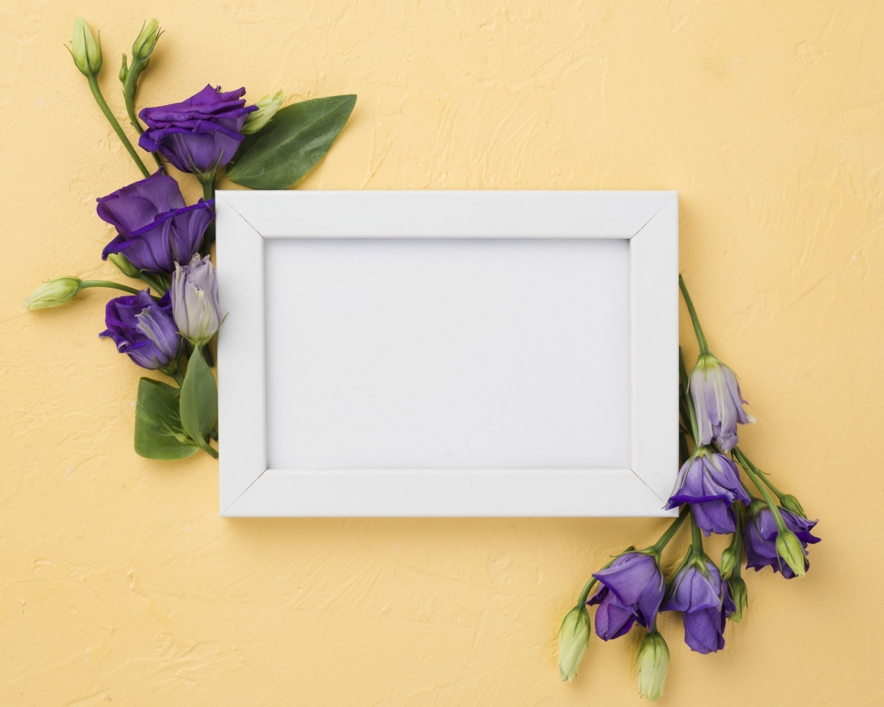 Белая рамка с фиолетовыми цветами эустома