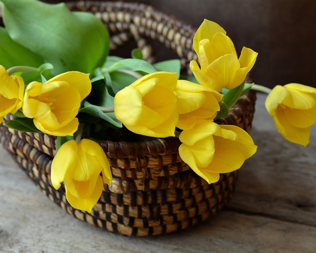 Желтые яркие цветы тюльпана в корзине