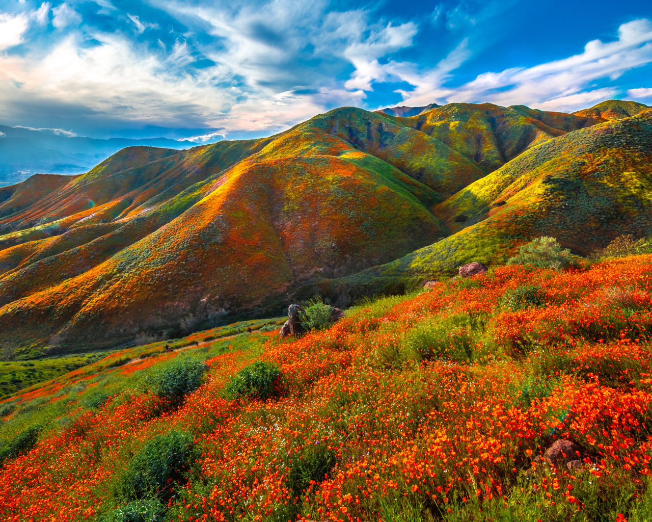 Красивая разноцветная гора под красивым голубым небом 