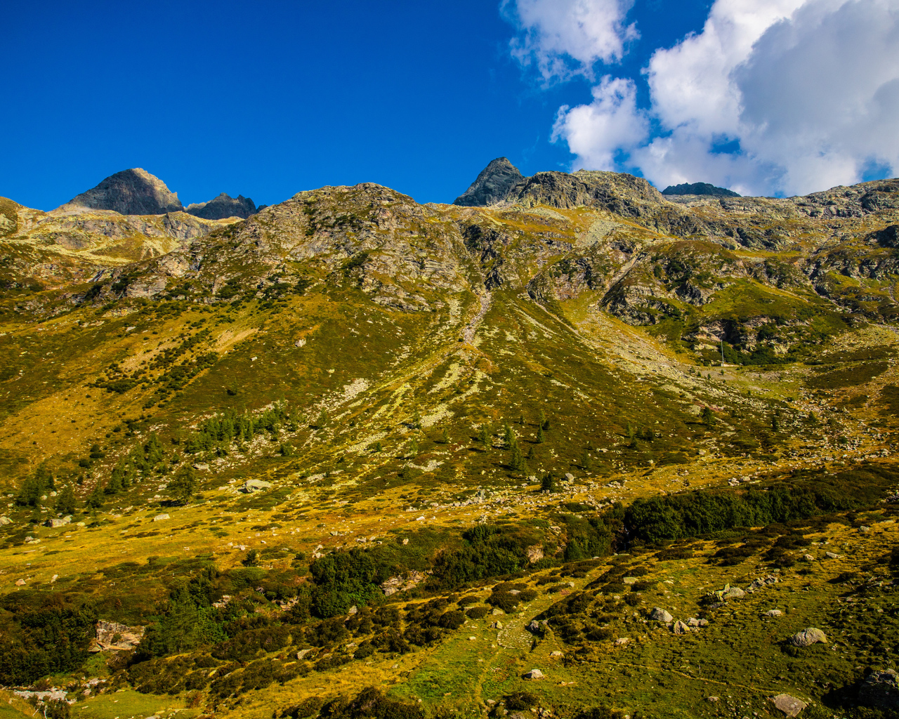 Покрытые зеленью Швейцарские альпы под голубым небом