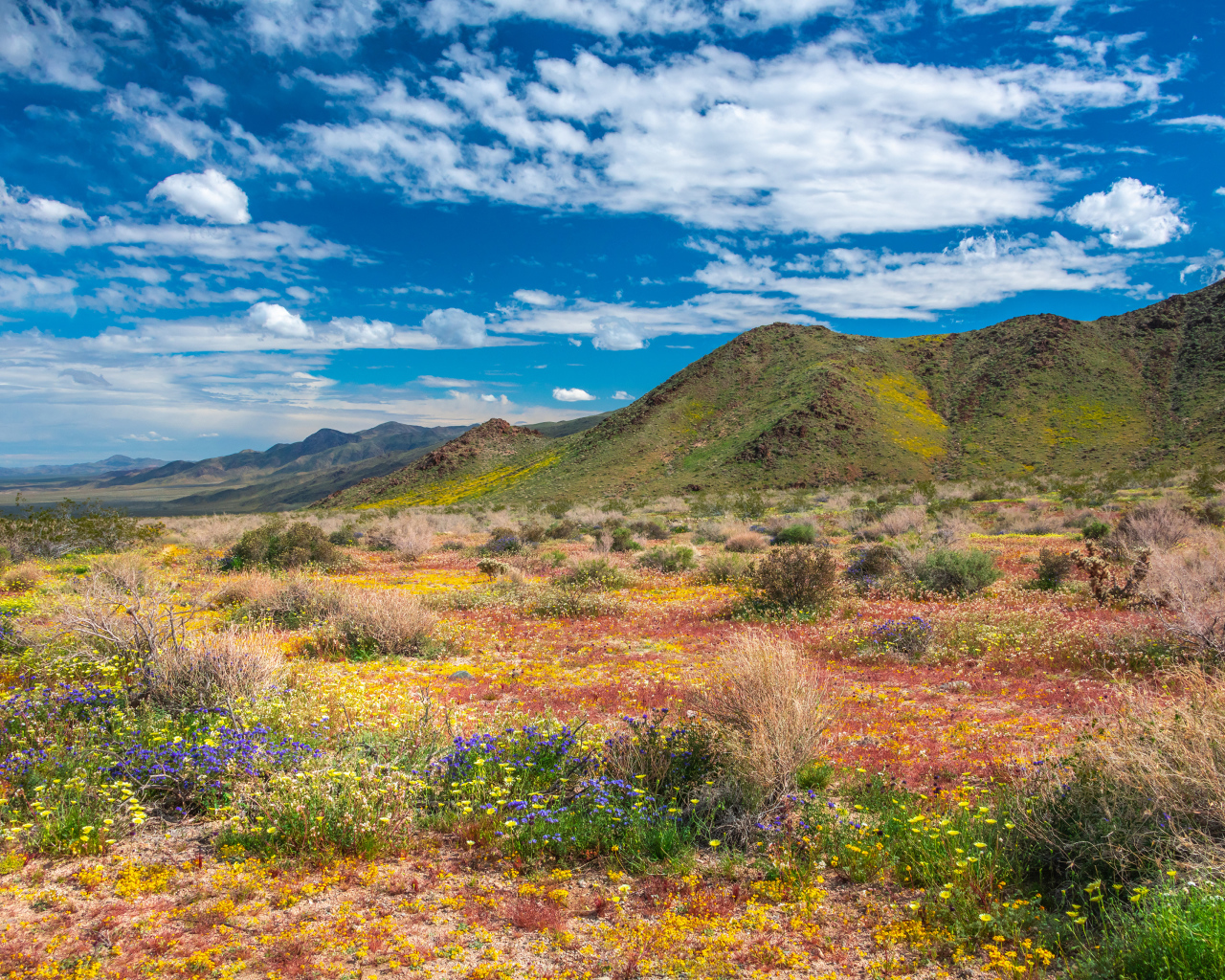 Высокие горы в национальном парке под голубым небом