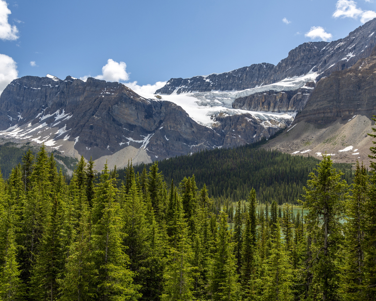 Высокие горы под голубым небом у хвойного леса 
