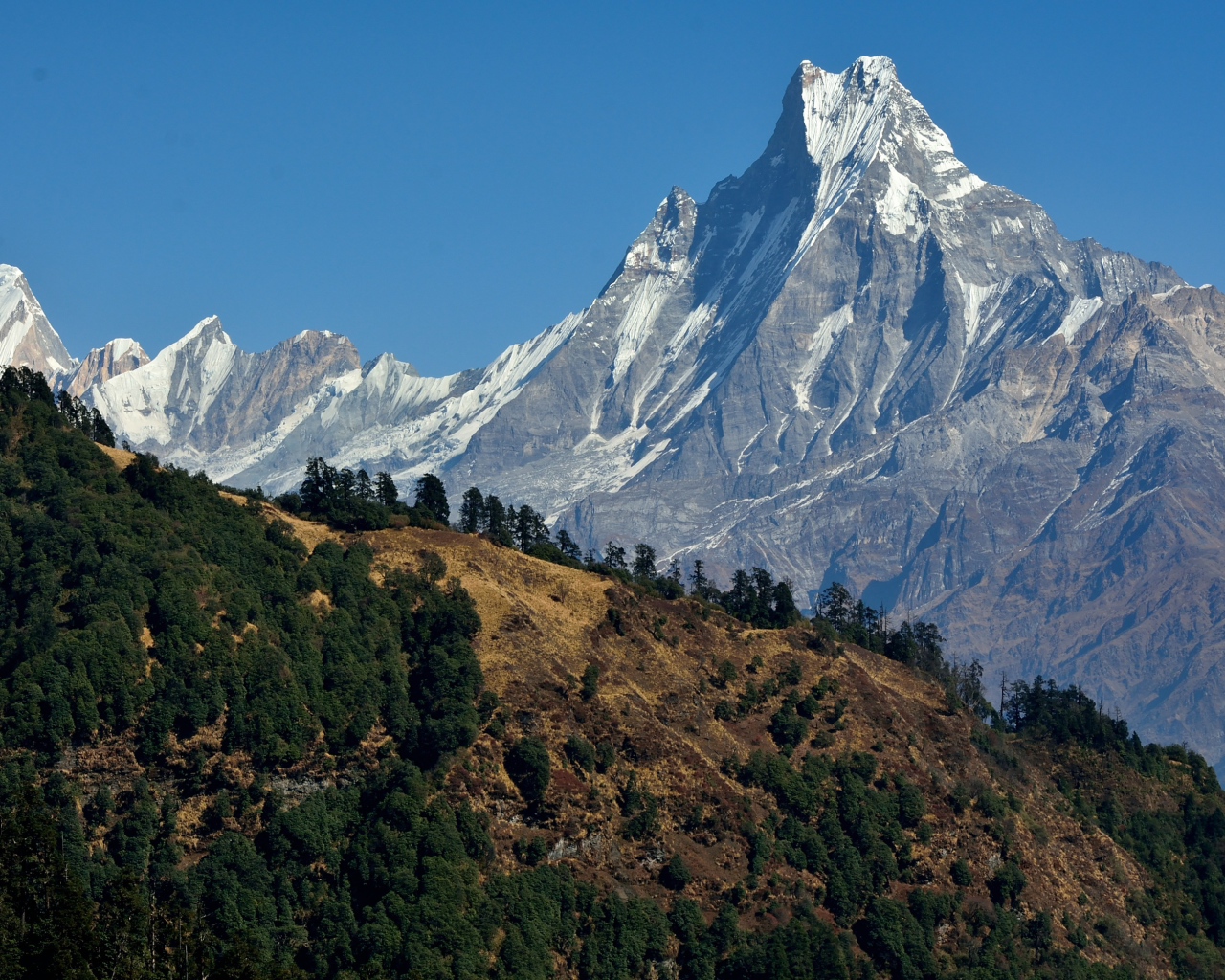 Красивый вид на острую заснеженную вершину горы