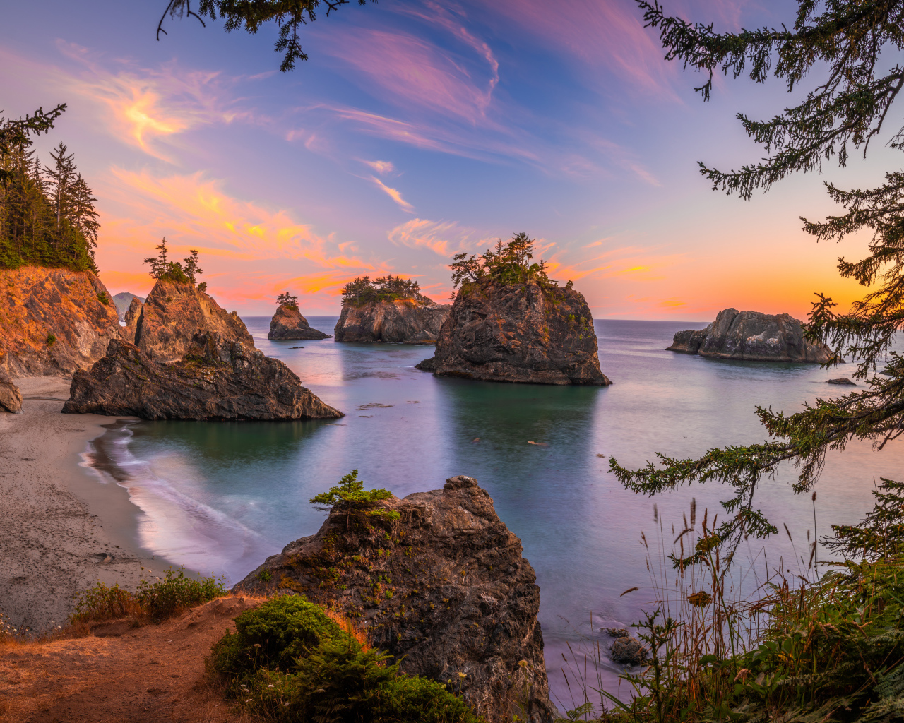 Каменные глыбы с деревьями на побережье в воде 