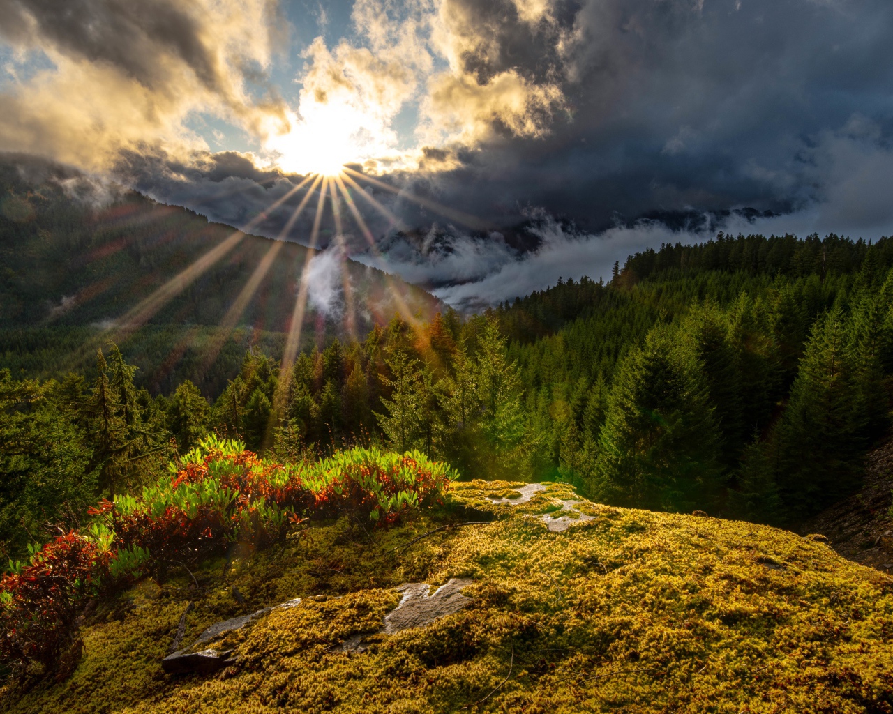 Яркое солнце в темных облаках над лесом в горах