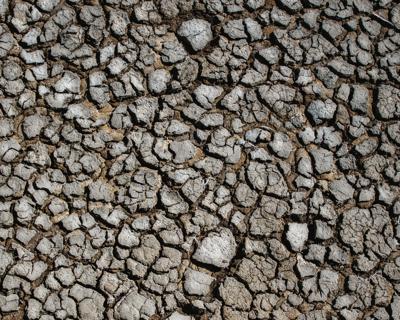 Потрескавшаяся после засухи земля 